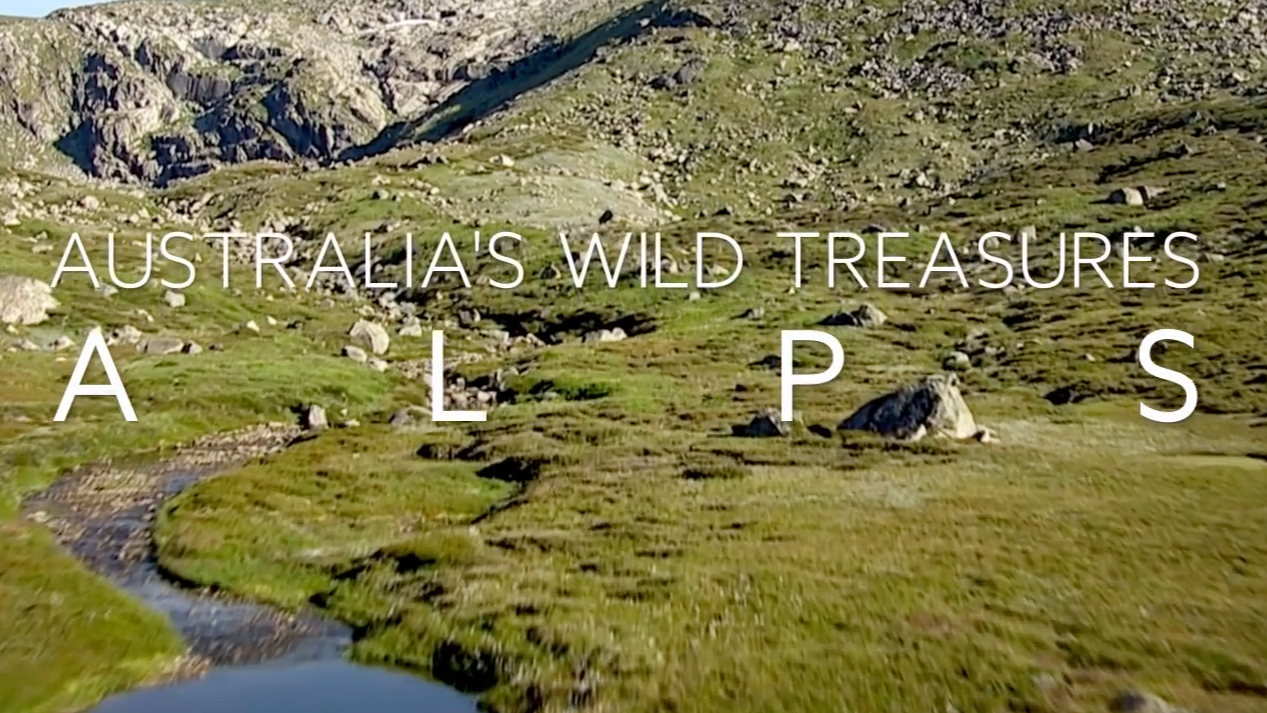 Australia's Wild Treasures: Episode 4