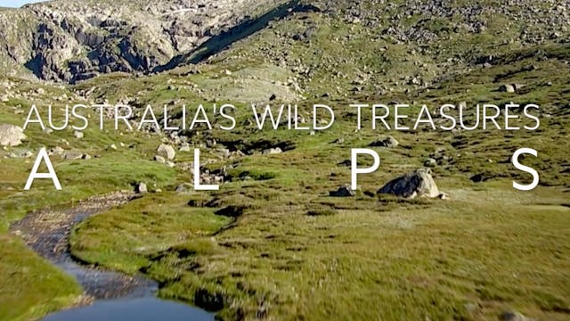 Australia's Wild Treasures: Episode 4