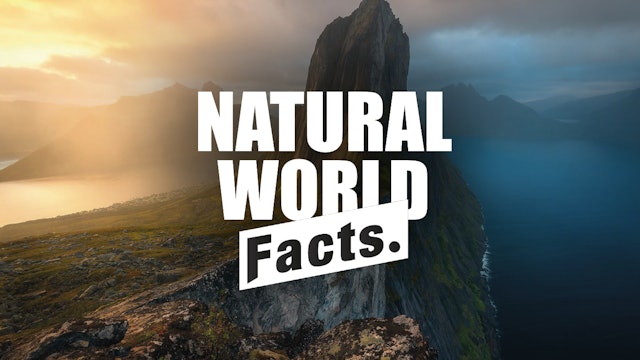 Natural World Facts