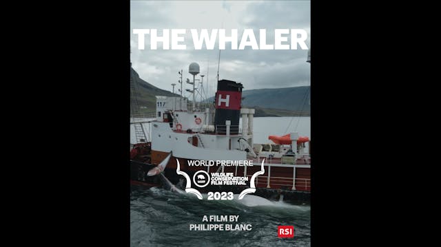 The Whaler Teaser WCFF2023
