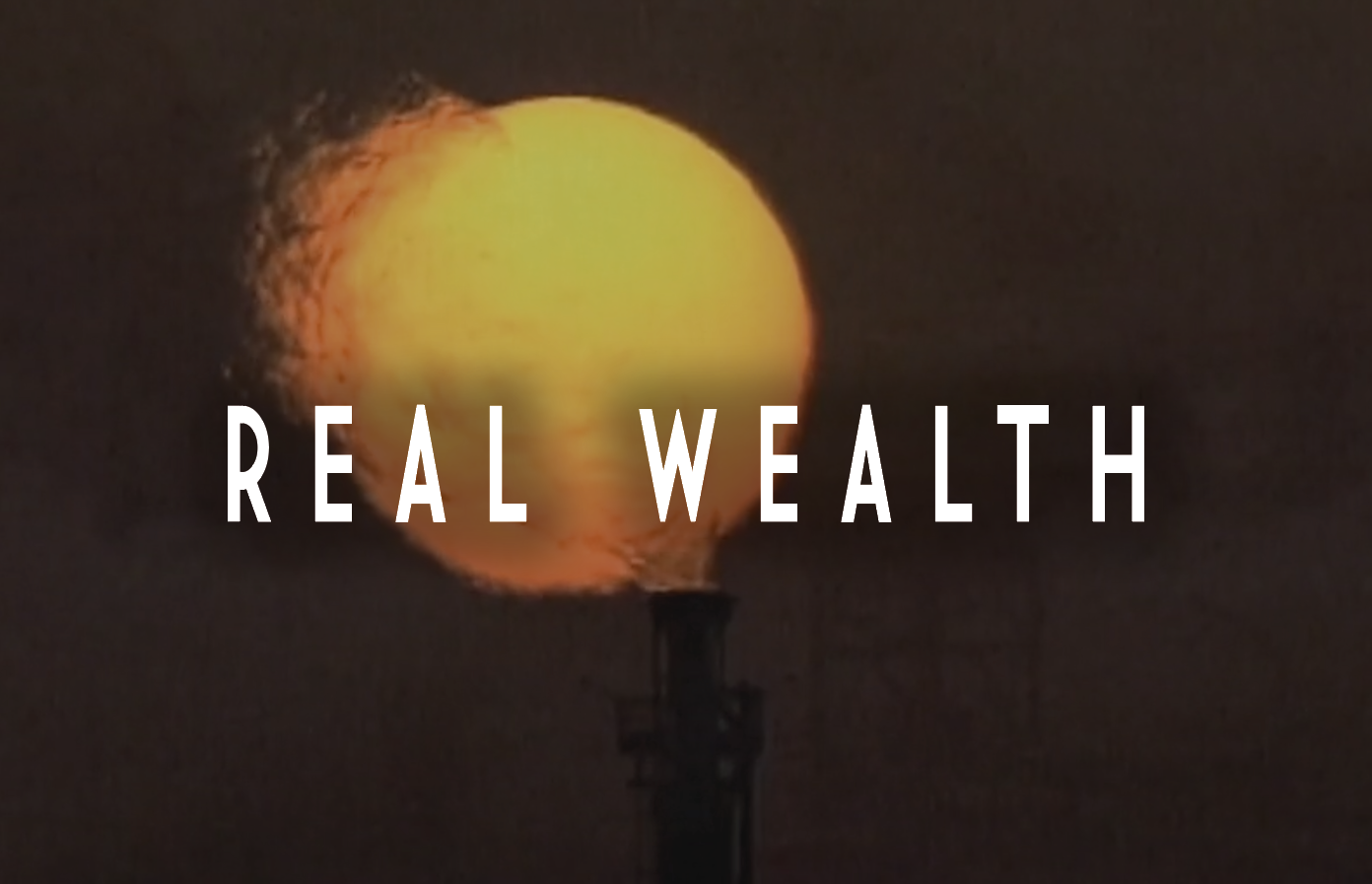 Real Wealth - John Liu