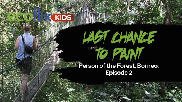 Last Chance to Paint - Person of the Forest, Borneo. Episode 2