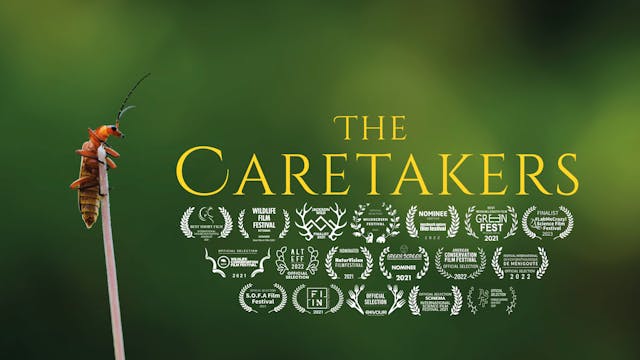 Out now: The Caretakers 