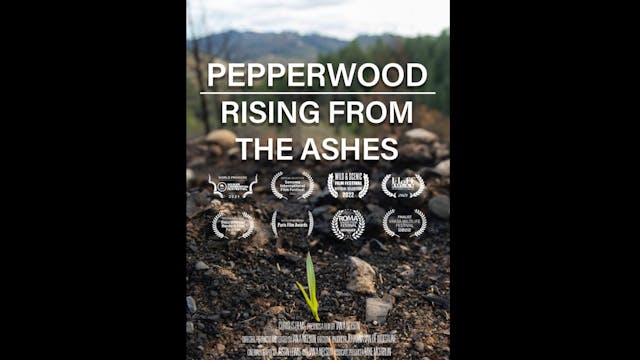 Pepperwood: Rising From The Ashes WCF...