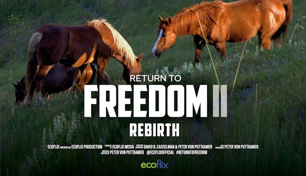 Coming Soon: Return To Freedom 2 - Re...