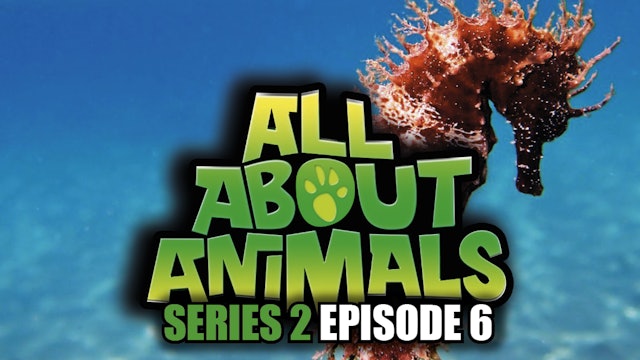 All About Animals - Series 2 - Episode 6