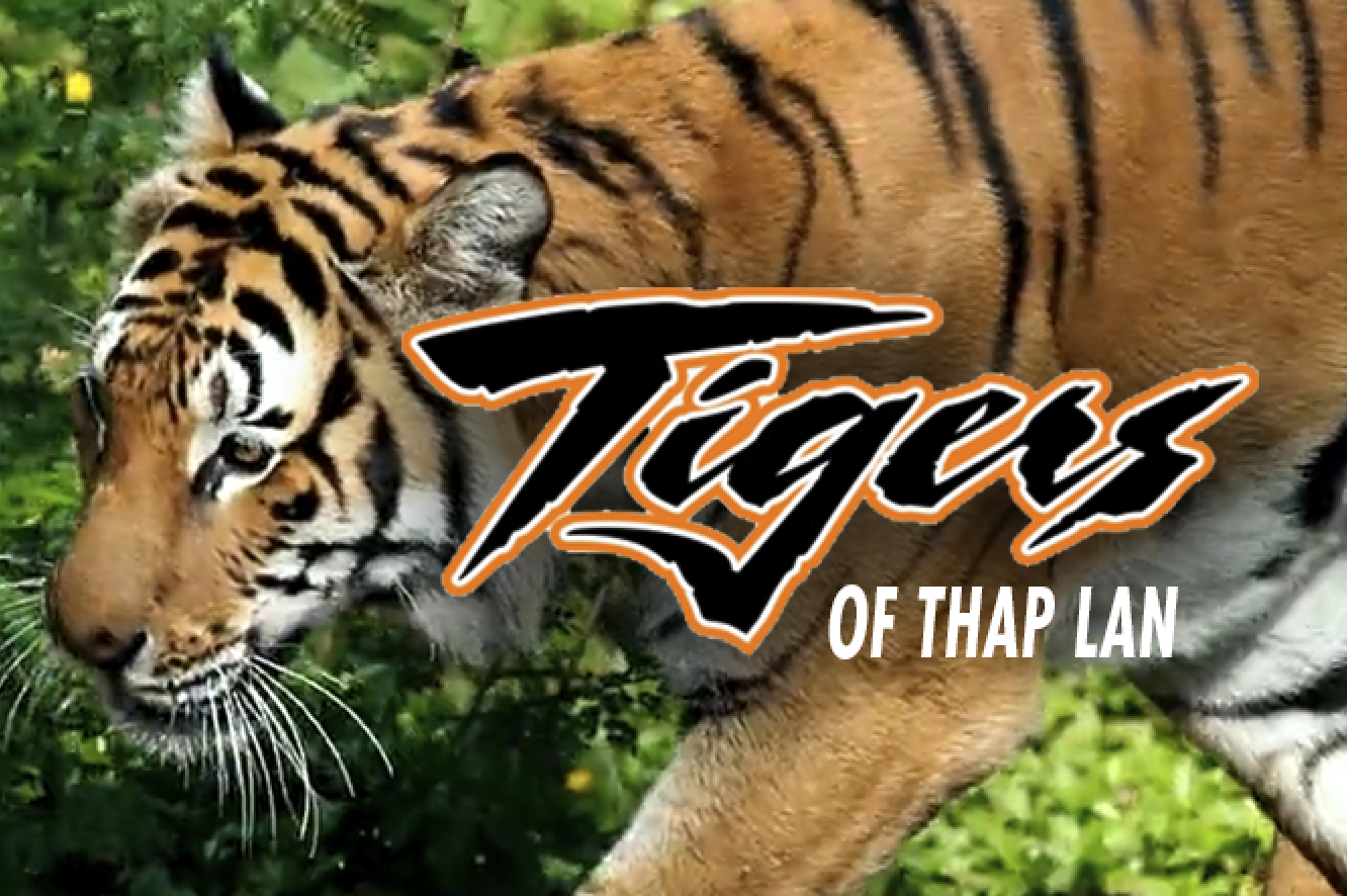 The Tigers of Thap Lan