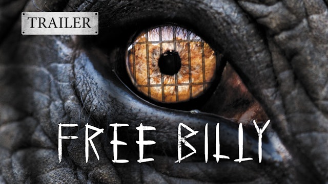 Free Billy Trailer