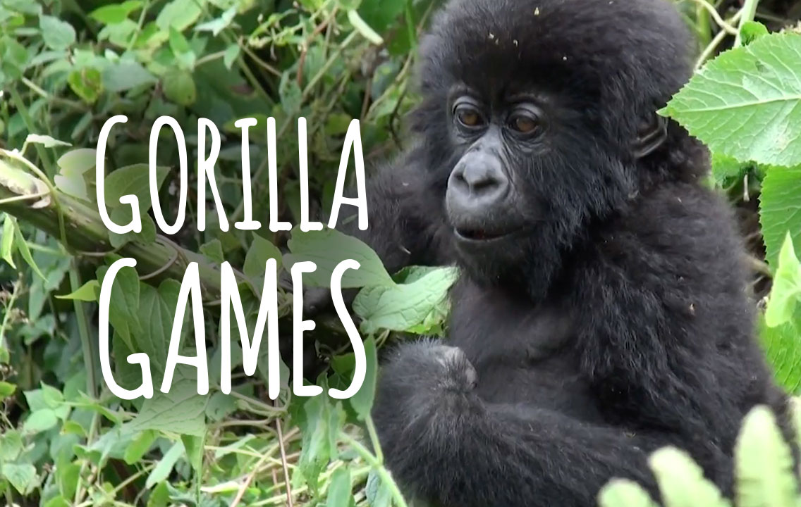 Gorilla Games