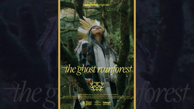 The Ghost Rainforest