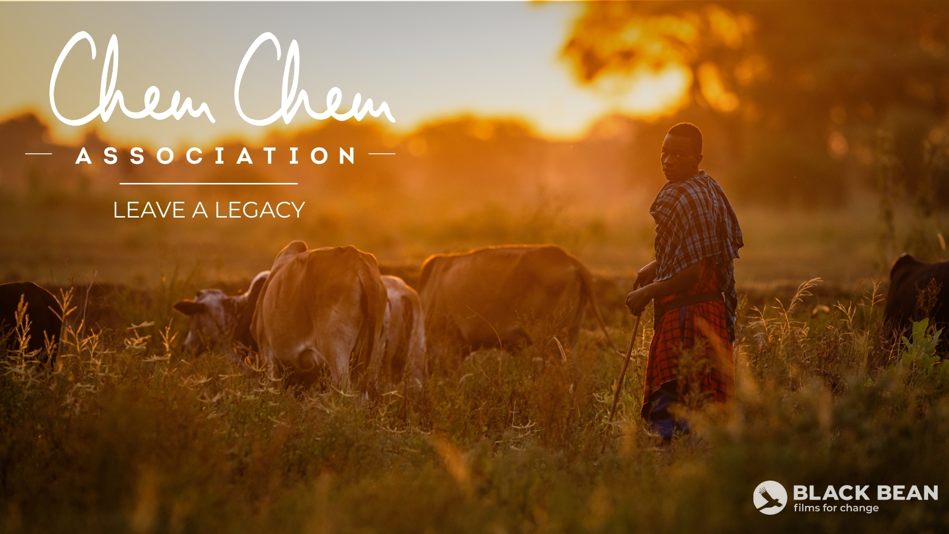 Leave a Legacy WCFF2025