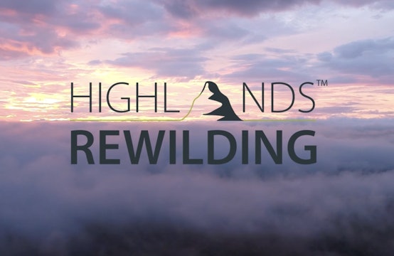 Highlands Rewilding Counting Nature