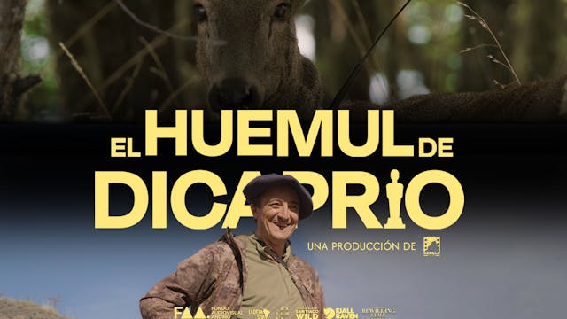 El Huemul De DiCaprio WCFF 2025