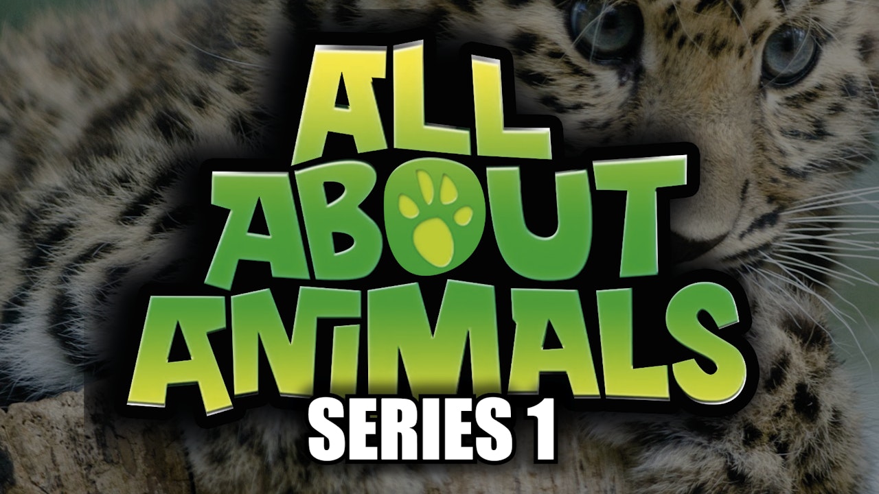 All About Animals - Series 1