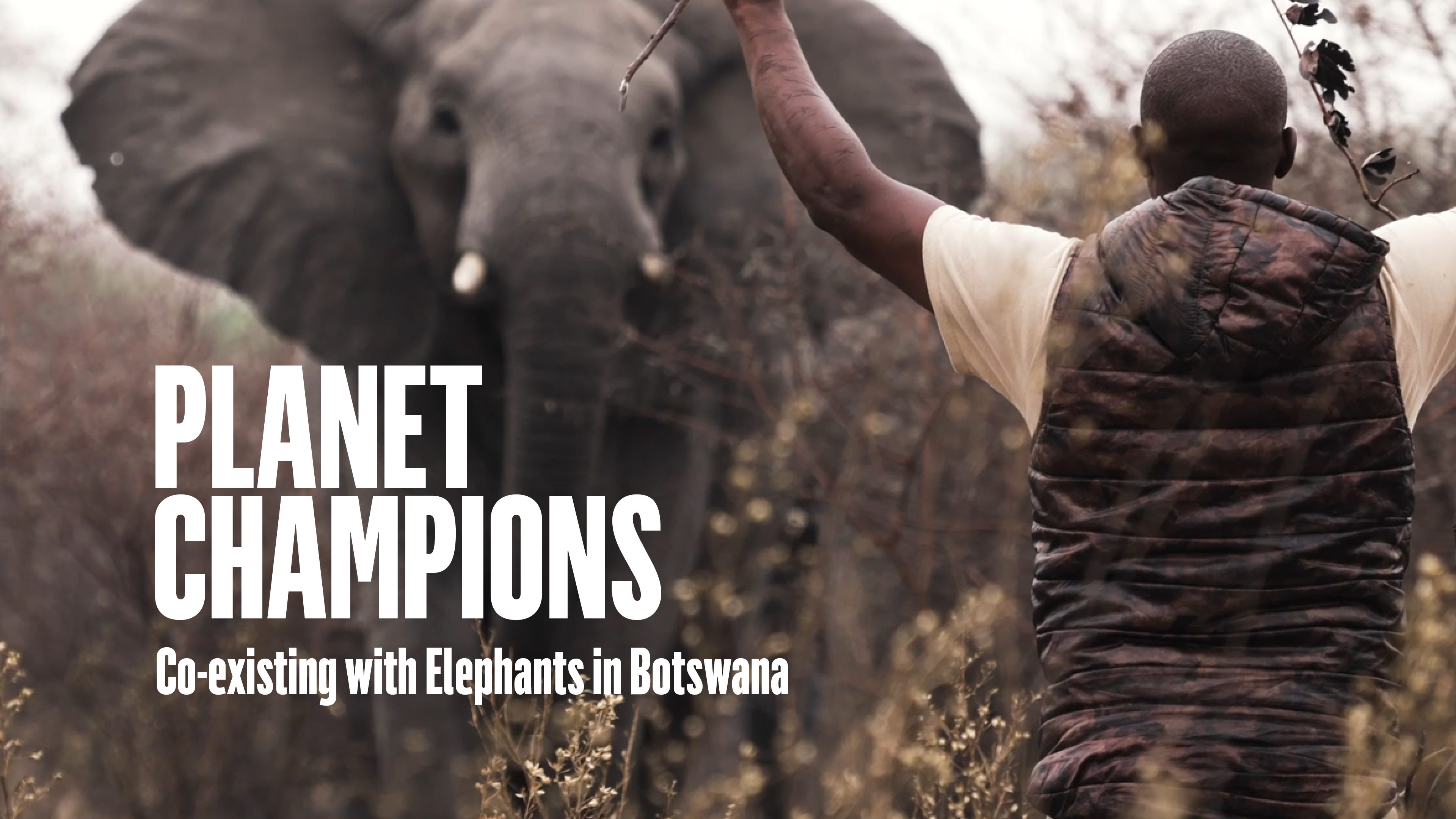 Planet Champions – Co-existing with Elephants