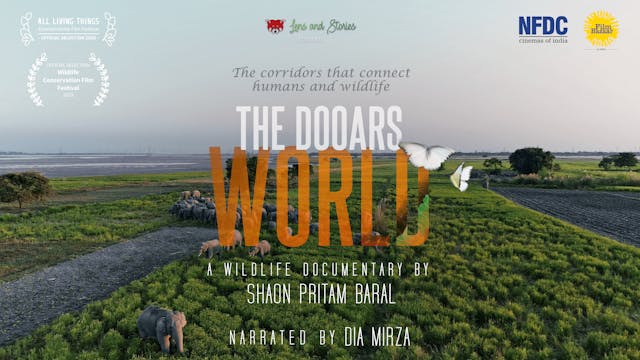 The Dooars World WCFF2025
