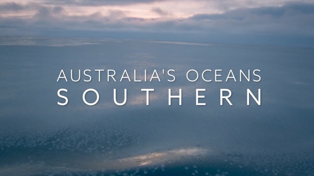 Australia's Oceans: Episode 3, The Southern.