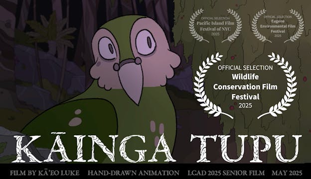 Kāinga Tupu WCFF 2025
