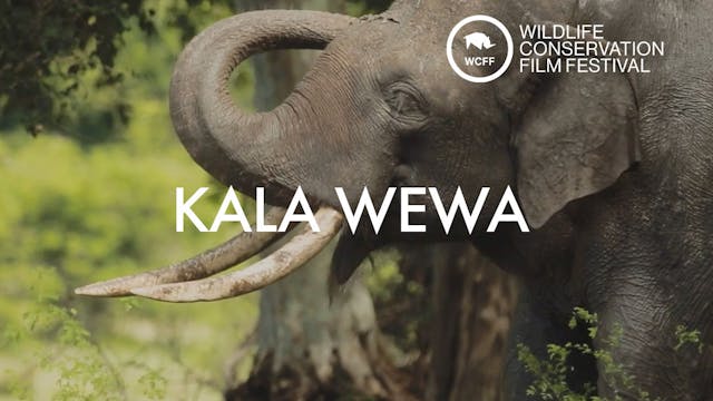 Kala Wewa