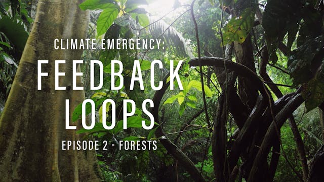 Climate Emergency: Feedback Loops 2 -...