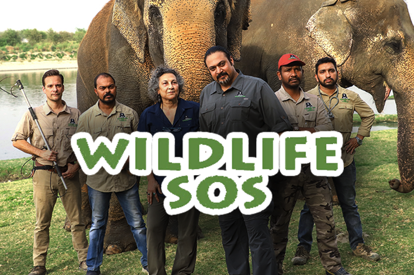 Wildlife SOS