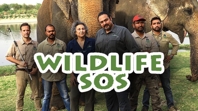 Wildlife SOS