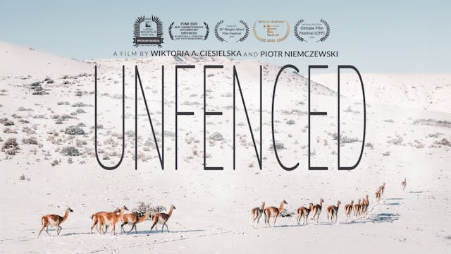 Unfenced WCFF 2025