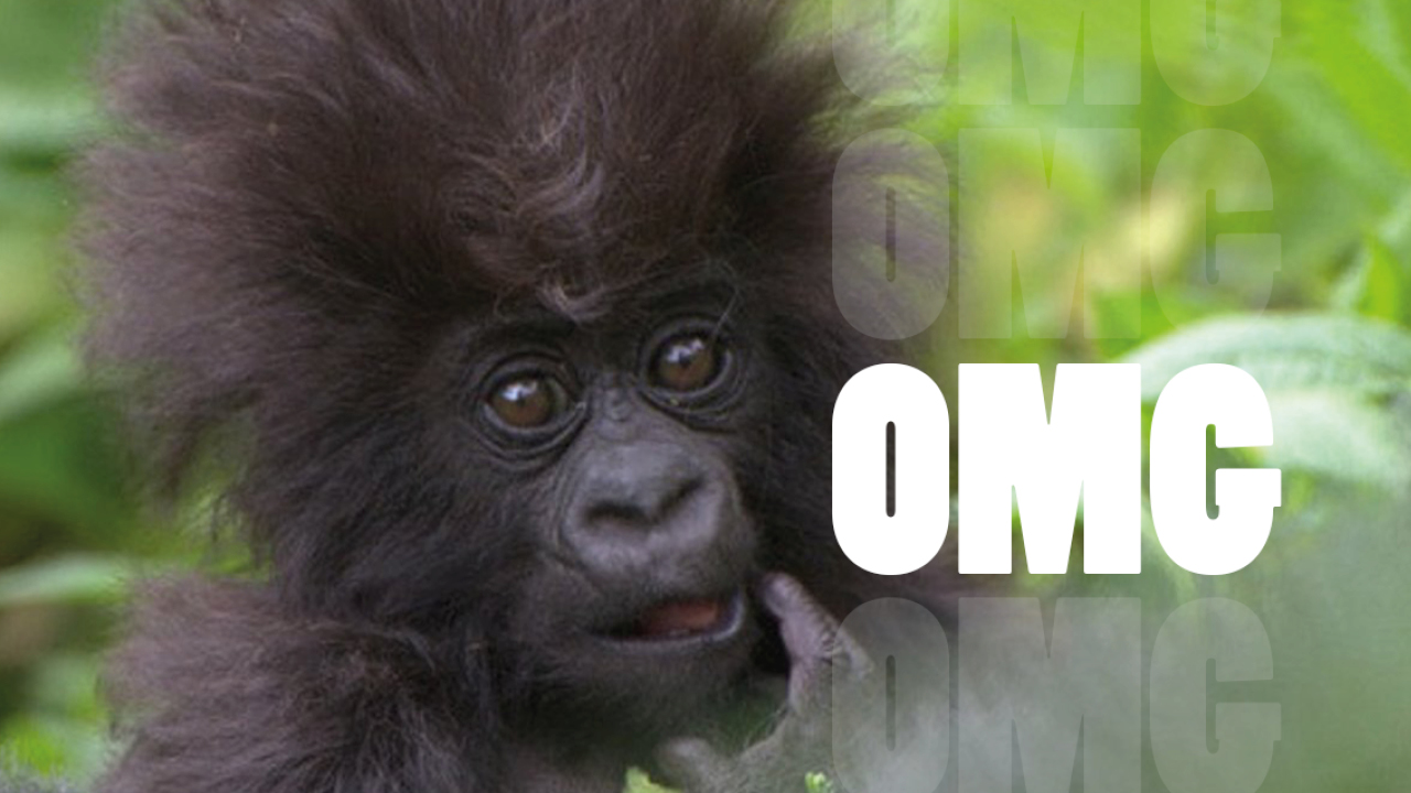 OMG
