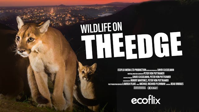 Coming Soon: Wildlife On The Edge
