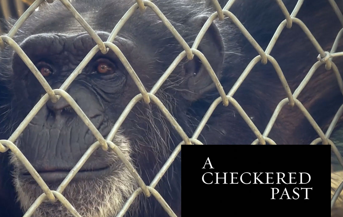 NAPSA - A Checkered Past: closing a sanctuary