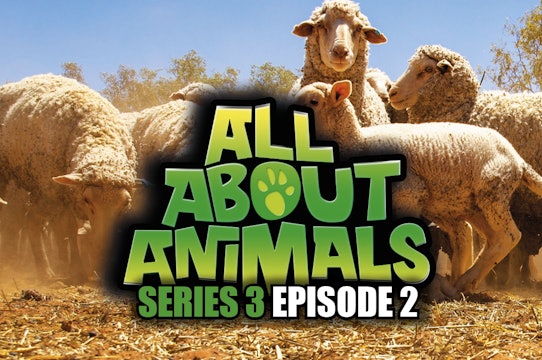 All About Animals - Series 3 - Episode 2