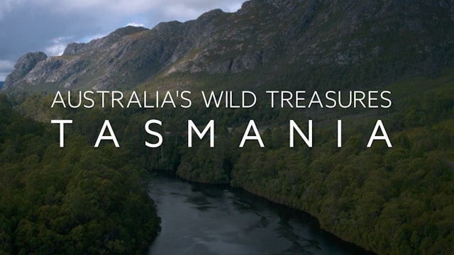 Australia's Wild Treasures: Episode 6