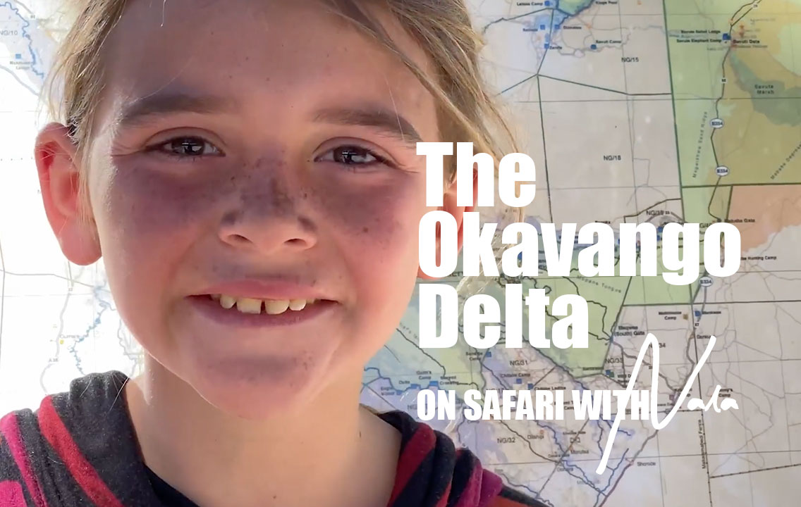 On Safari with Nala - The Okavango Delta