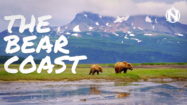 The Bear Coast Trailer