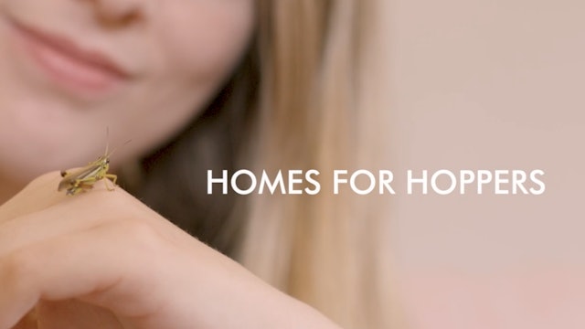 Homes For Hoppers