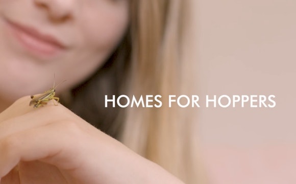 Homes For Hoppers