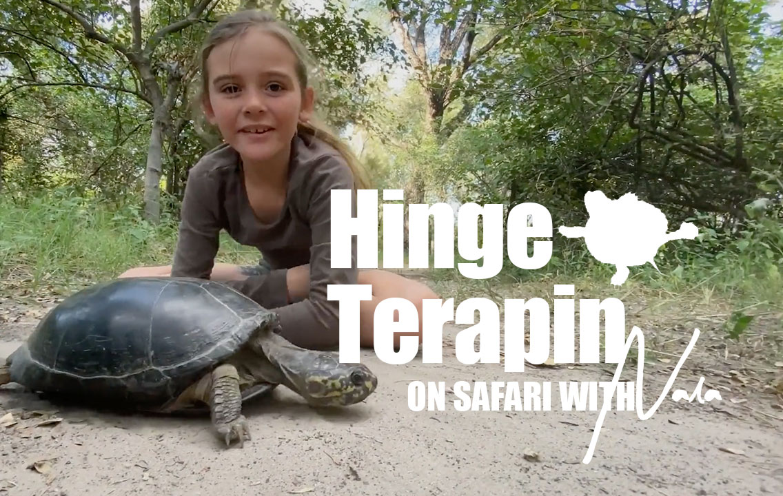 On Safari With Nala - Hinge Terapin 