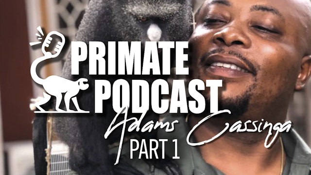 The Primate Podcast with Adams Cassinga Part 1 