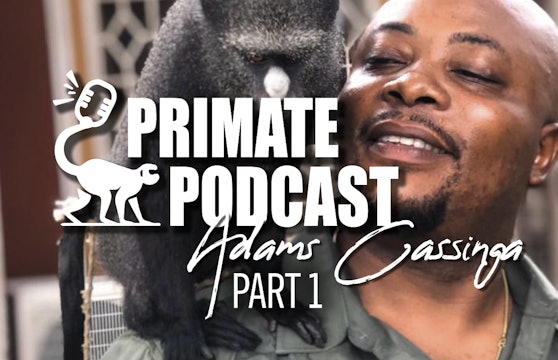 The Primate Podcast with Adams Cassinga Part 1 