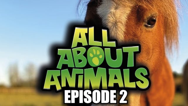 All About Animals - Series 1 - Episod...