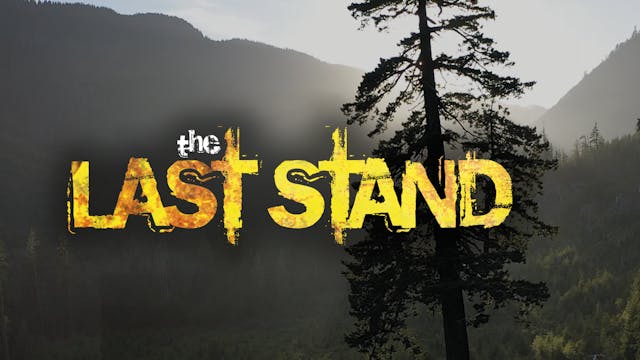 The Last Stand (Trailer)