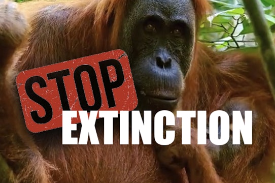 Stop Extinction