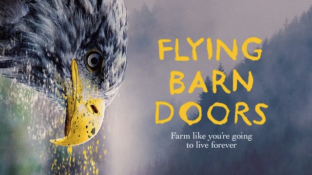 Flying Barn Doors
