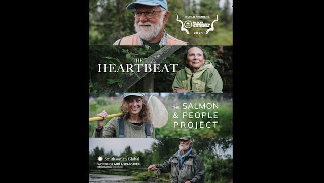 The Heartbeat Teaser WCFF2023