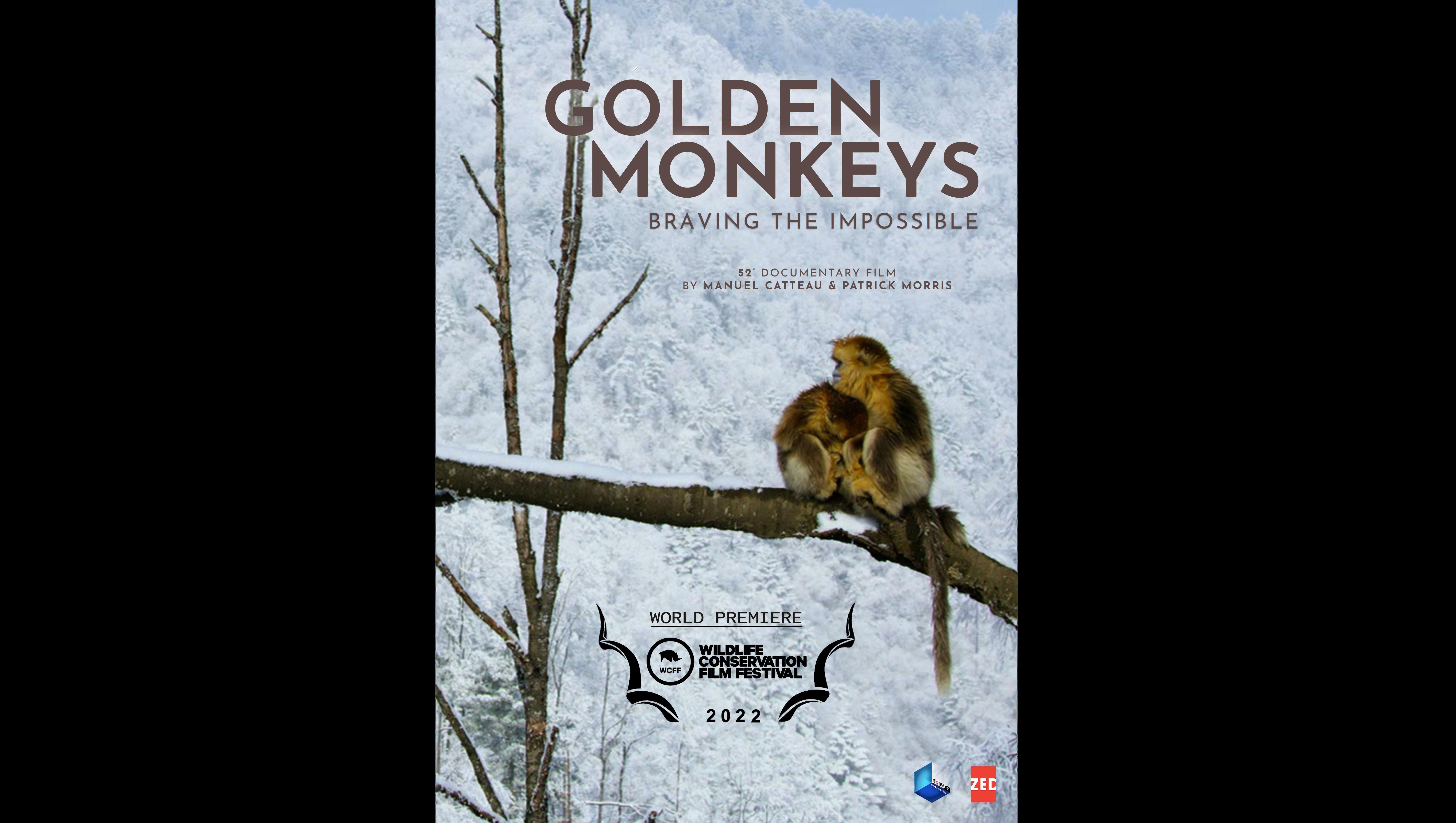 Golden Monkeys: Braving the Impossible Teaser WCFF2023