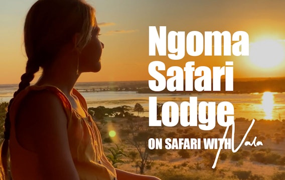 On Safari With Nala - Visit to Ngoma Safari Lodge 