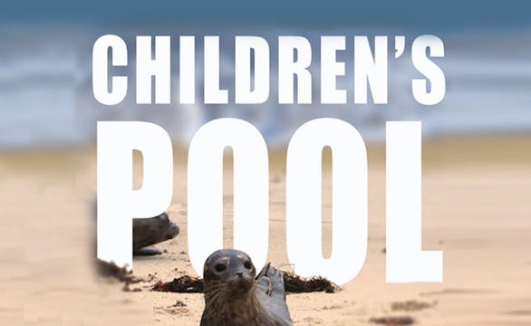 Children's Pool