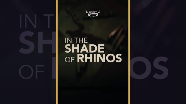 In The Shade Of Rhinos 