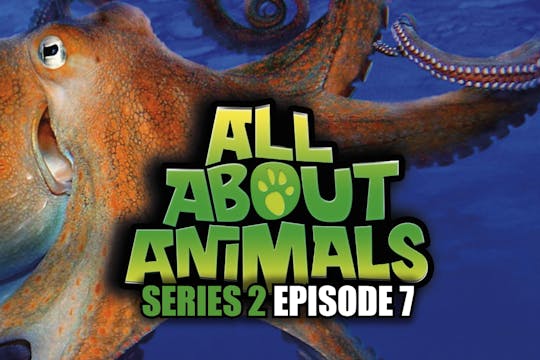 All About Animals - Series 2 - Episode 7