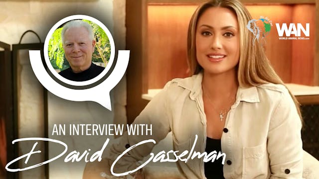 World Animal News Interviews David Ca...